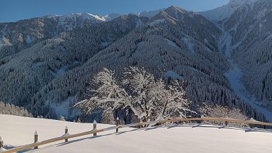 Aussicht Garten_Berge