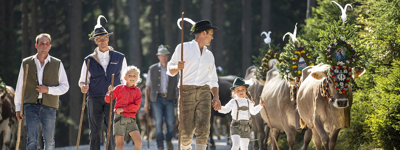 Hirten führen ihre Kühe beim Almabtrieb in Hintertux von der Bichlalm talwärts, © TVB Tux-Finkenberg / shootandstyle.com