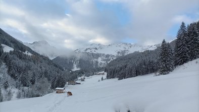 innergreit_alpbachtal_Greitergraben_winter