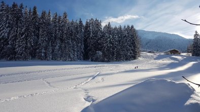 2019 Blick zur Piste