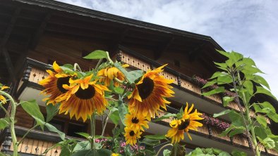 Alpspitz mit Sonnenblumen, © Das Alpspitz