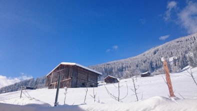 Ausblick vom Haus