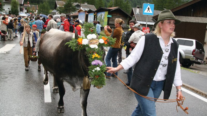 Almabtrieb in Zwieselstein, © TVB Ötztal