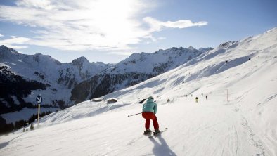 Bilder Thomas Koy (10) - Kopie - Kopie