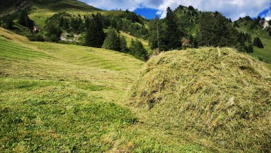 Heuernte auf der Alm