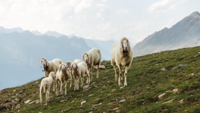 gurgl_kampagne_sommer_roman_huber_Tag 1_14_23 (lar