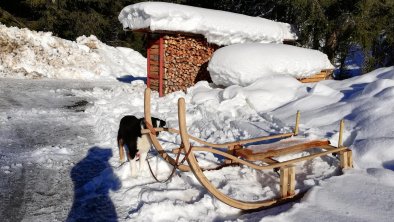 der Schlitten wartet