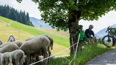 Bike Trail Tirol Etappe 14: Westendorf - Alpbach, © Tirol Werbung / Neusser Peter