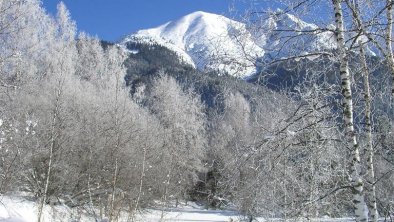 geräumte Wanderwege, © Thomann