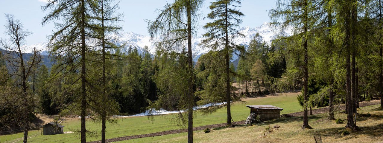 Frühlingswanderung im Leutaschtal, © Tirol Werbung/Mario Webhofer