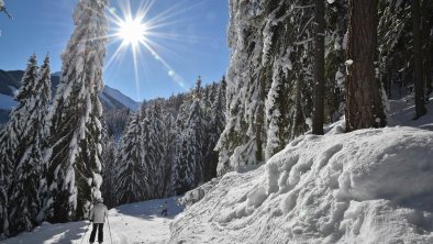 Skifahren Wiedersbergerhorn, © Alpbachtal Tourismus