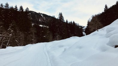 Spuren im Schnee, © Martin Reiter