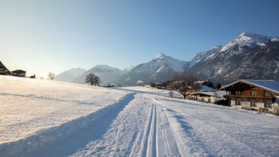 Aussicht West Langlaufloipe