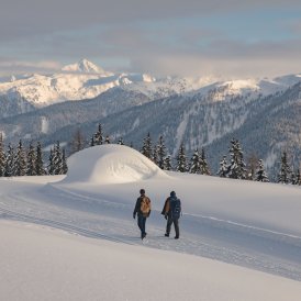 Winterwandern in Kartitsch, © Tirol Werbung / Katharina Poblotzki 