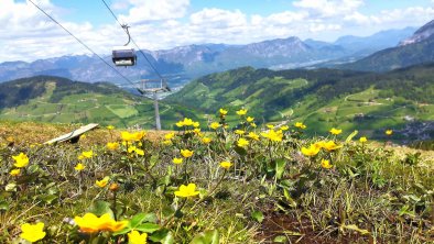 Markbachjochbahn Frühling Wildschönau FG T.L. Rech