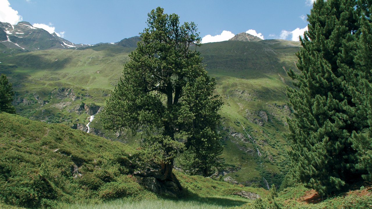 
, © Naturpark Ötztal