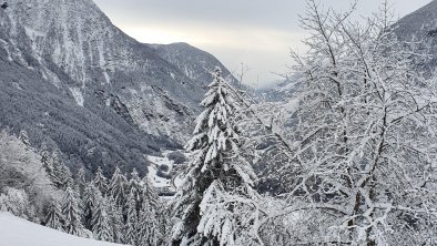 Bergbauernhof Burkert