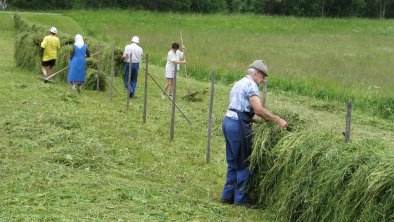 Feldarbeit Harpfen Hopfgarten_TVB Osttirol_Nationa