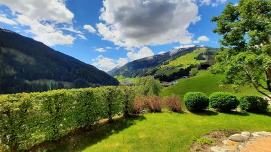 Garten im Sommer