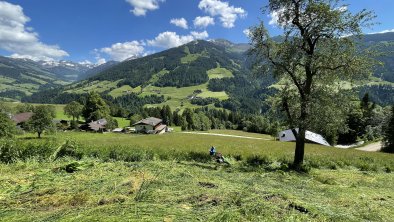 Aussergraben_Alpbach_Mähen