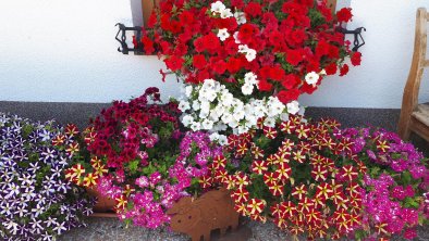 Blumenschmuck Sommer-Schmiedshof