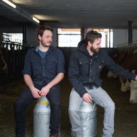 Die Milchbuben Markus und Thomas Ehammer mit ihren &quot;Mädls&quot;, © Tirol Werbung/Bert Heinzlmeier