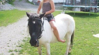 Kinder beim Reiten