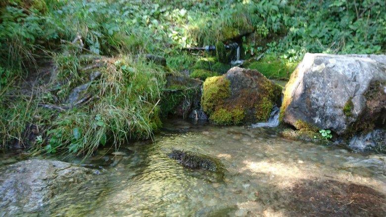 Am Wasserwanderweg in Ladis