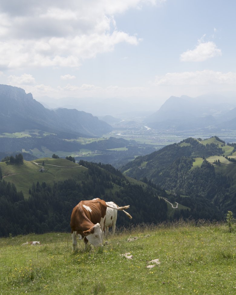 Die Burgeralm ist leicht erreichbar und bietet dennoch tolle Ausblicke.