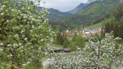 Biobauernhof Hecherhof Thiersee - Sicht Balkon