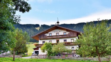 Leitnerhof Niederau Sommer