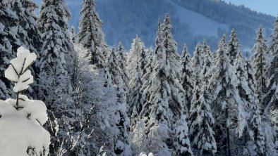 Blick auf die Buchensteinwand