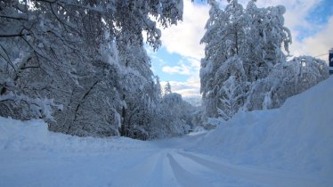 Winterbild mit Langlaufloipe