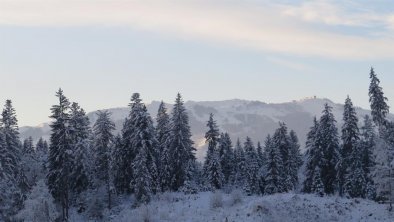 Ausblick nach SW Hartkaiser