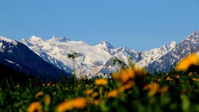 Blick zum Gletscher