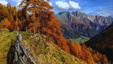 Almhütte Santnerhof Herbst