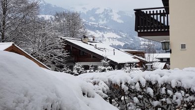 Blick aus dem Garten