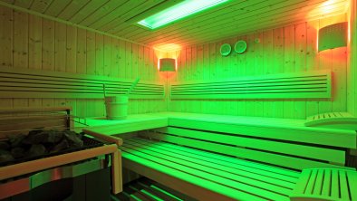 Sauna Wellness 1