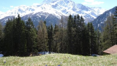 Frühling in Pettneu, © Günther Walch