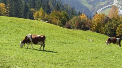 Herbst - Wanderzeit Blick von unserer Terrasse