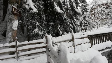 am Auffacher Holzweg