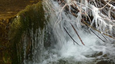 Der Giessenbach, © Das Haus am Walde