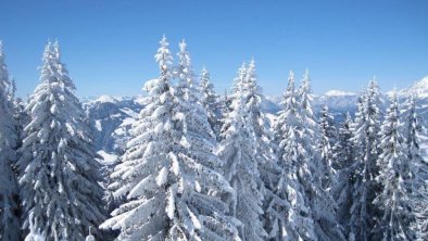 Blattlhof Winter St. Johann in Tirol