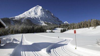 leutasch_langlauf-3-, © Region Seefeld