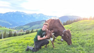 Feldgeburt auf unserer Alm