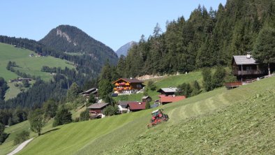 Gruberhof_Alpbachtal_Heuernte, © Fam. Naschberger