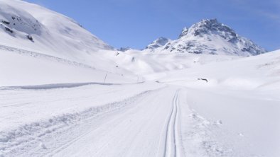 Langlauf & Winterwandern