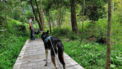 Wanderweg, Teilstück nach dem Leitenwald - Richtung Faggen, © im-web.de/ DS Destination Solutions GmbH (eda3 TOL)