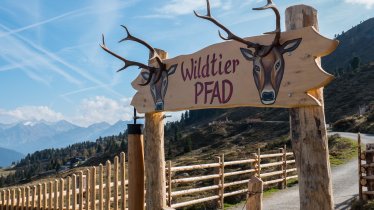 Hier startet das Abenteuer Hubertus Wildtierpfad., © filmingpool