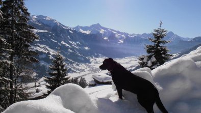 Unser Hund Lucky genießt den Blick ins Zillertal